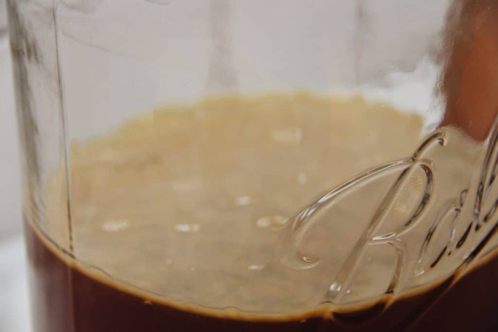 SCOBY floating in Kombucha Brewing Jar