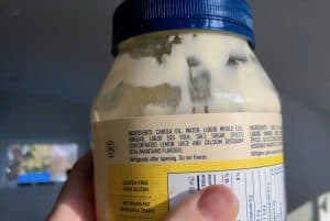 Mayo Ingredient List - Does Mayo Contain Dairy