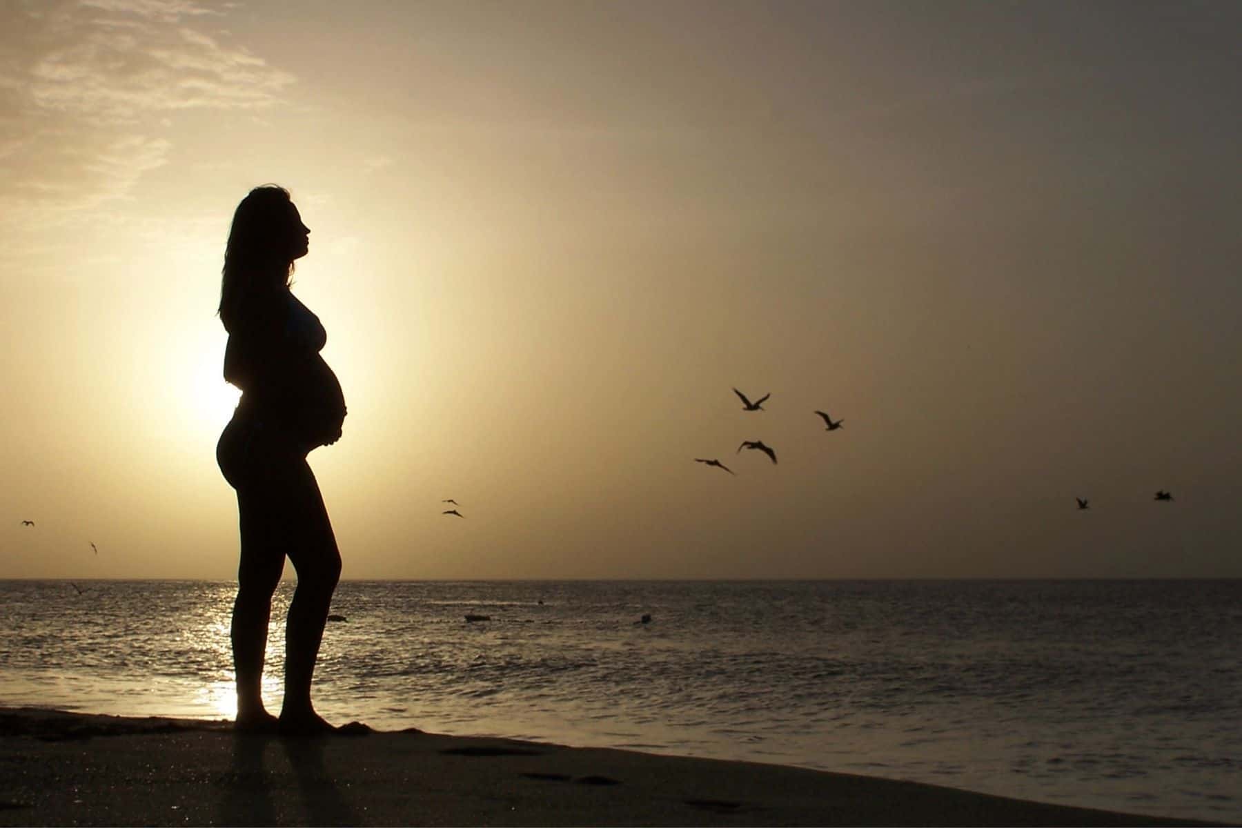 maternity photo shoot - beach silhouette