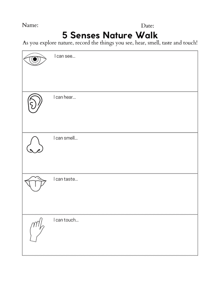 5 Senses nature walk worksheet