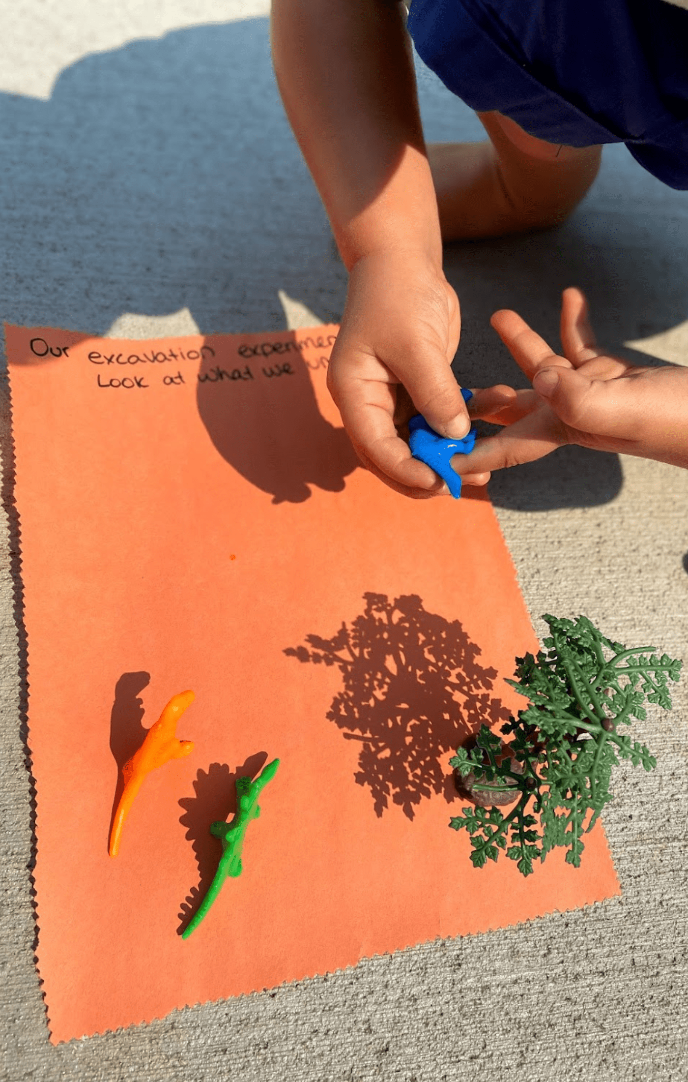 Child shadow drawing with toy dinosaurs