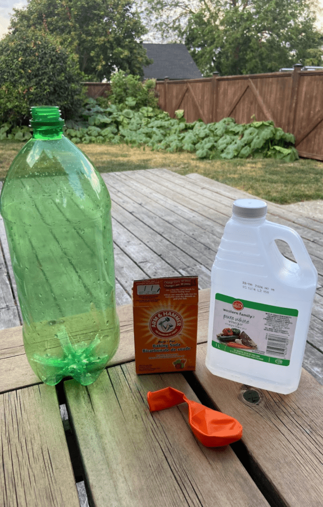 Materials for the self inflating balloon: 2l bottle, vinegar, baking soda, and a balloon