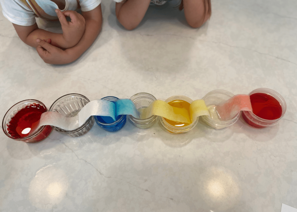 Walking water experiment - water travelling into empty cups via capillary action
