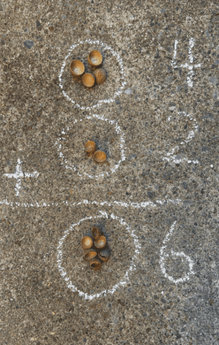 A math equation of 4+2=6 drawn in chalk. Acorn tops are also used to demonstrate the numbers.