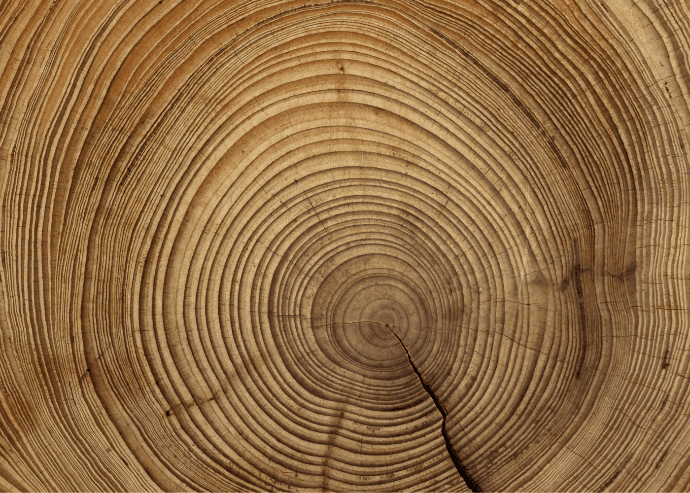 Counting tree rings