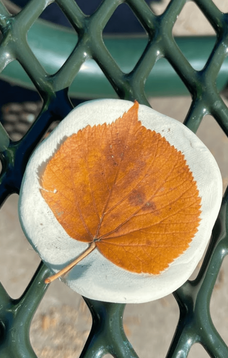 Leaf imprinting in clay circle