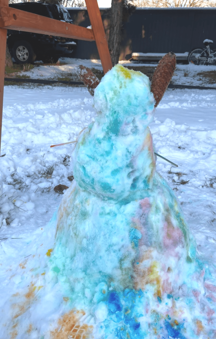 A colorful snowman with pinecone ears.