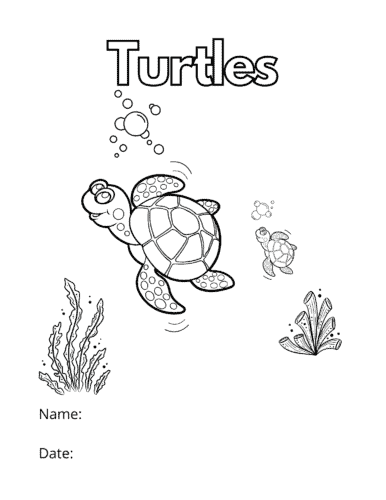 Turtle coloring pages 1