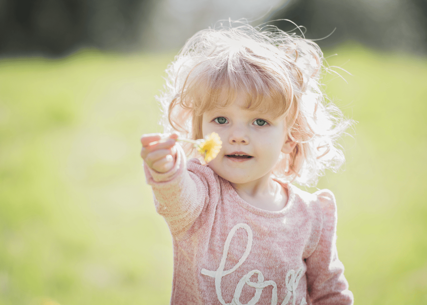 A toddler holding out a small yellow flower