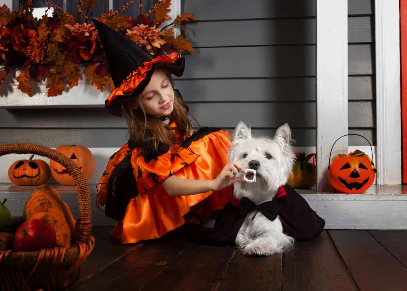 Halloween - kids witch costume
